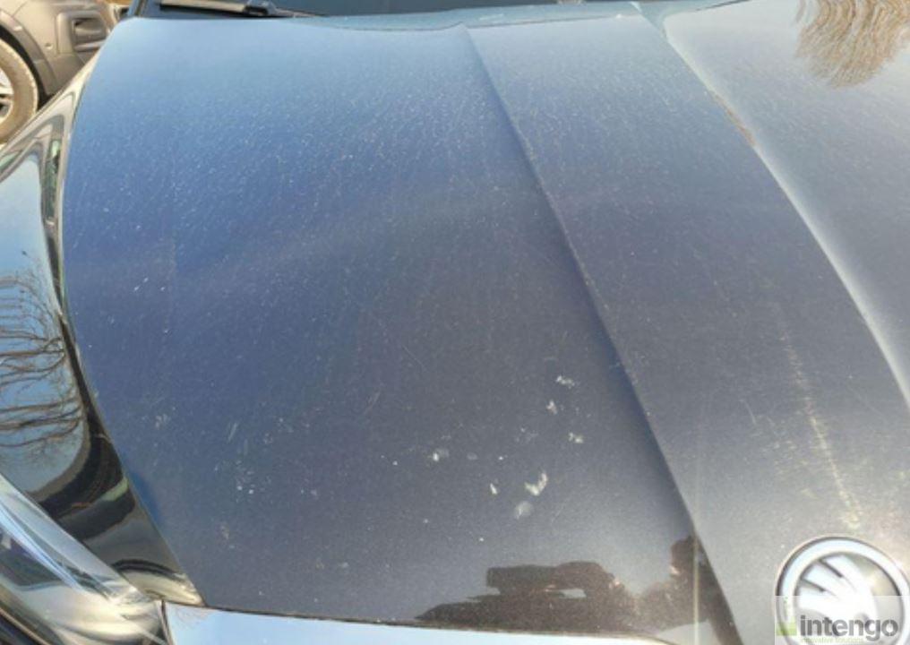 Araç Fotoğrafı 10